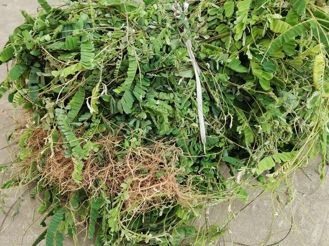 广东煲汤常用药材，广东靓汤煲汤配方清热解毒（没想到还有这3种养生效果）