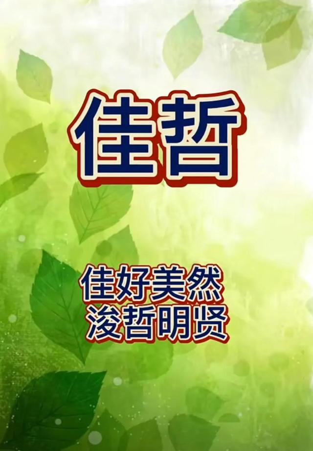 好听稀少的男孩名字属虎，好听稀少的男孩名字属虎单字（聪明睿智的男孩名字）