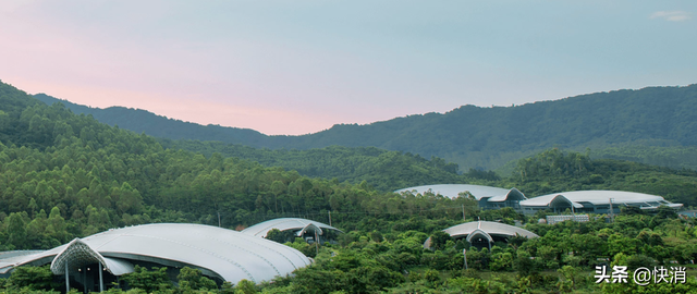 百岁山是哪个国家的，水中贵族百岁山是哪个国家的（百岁山长期主义背后的民族情和民生味）