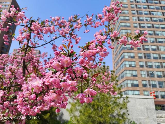 vivo定位登录，vivo云服务登录官网定位（折叠屏深度评测：来得晚）