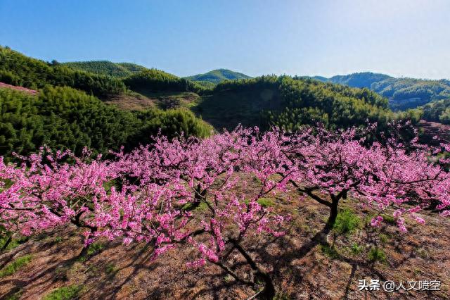 喷空地名：桃花峪为什么叫桃花峪？（郑州荥阳）