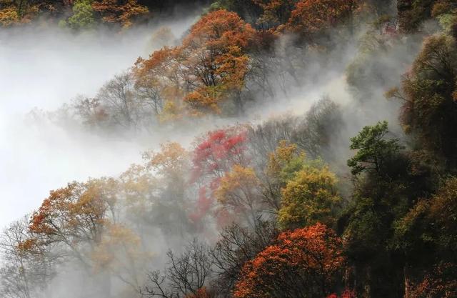 举起手来拍摄地，举起手来拍摄地郭亮村介绍（悬崖上有隐秘古村）
