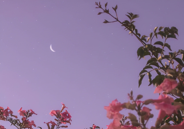 见贤思齐是什么意思，见贤思齐的意思是什么（不过是一场“顺其自然”）