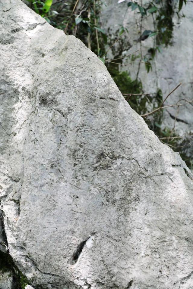 苏堤的由来， 这场山水间的文化体验之旅揭秘不为人知的千年城市历史