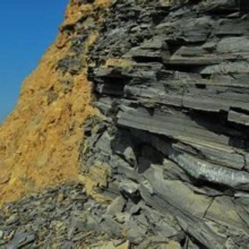 涪陵区焦石镇，涪陵区焦石镇人民政府（重庆一村庄河水咕咕冒泡）