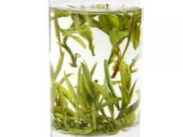 黄芽属于什么茶，滇红金芽属于什么茶（黄茶之：霍山黄芽）