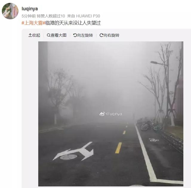 上海浦东机场大雾，上海两机场低能见度天气过程统计分析及原因探究（今天上海的雾为什么这么大）