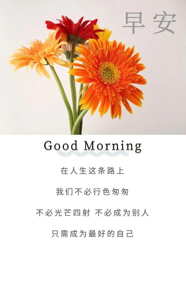 鼓励男人的暖心句子，最能暖到男人心的鼓励话（早安心语，正能量霸气语录说说）