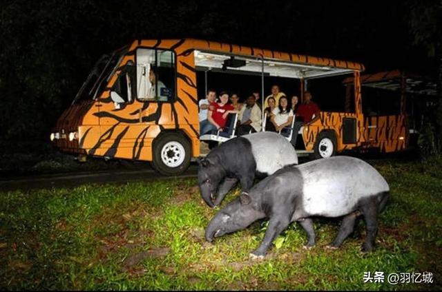 新加坡有什么特产，新加坡有什么美食特产除了肉干（宝藏级的新加坡旅游攻略）