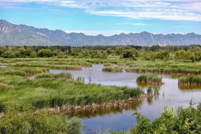 关于长城的旅游介绍，国庆去哪玩 ， 长城文化之旅