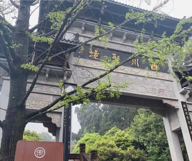 千佛山森林公园，千佛山在哪（不收门票的5个成都周边“小森林”）