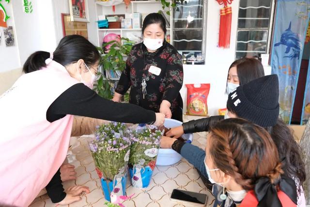 丹麦风铃花语，丹麦风铃花百度百科（，“走进园艺疗愈，感悟多彩生活”）