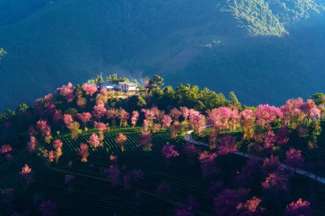 10种代表秋天的景物，秋天的景色有哪些（这10个小众绝美的秋景地）