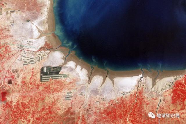 沧海桑田的沧海是哪个海，“沧海桑田”（渤海，越来越小了，地球知识局）