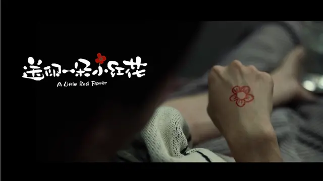 感人电影催泪的电影排行榜前十名，催人泪下的电影排行榜（十部让你看到泪崩的电影）