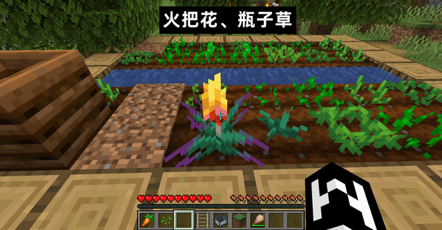 我的世界物品图片，minecraft 物品整理（我的世界23w16a快照）