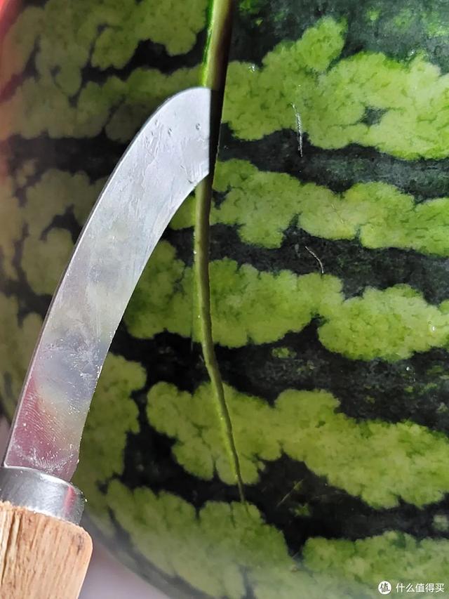 巨型西瓜品种，巨型西瓜品种犄点（一天狂炫9个品种的西瓜）