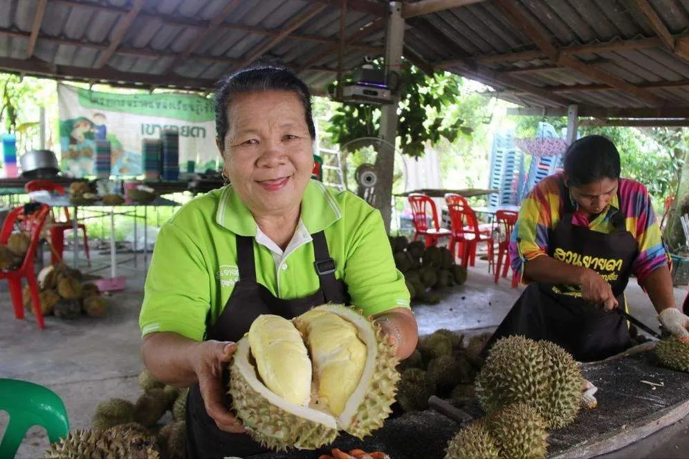 榴莲什么时候最便宜，榴莲什么季节最便宜（3个原因残酷却很现实）