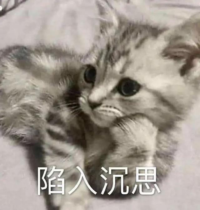 g图是什么意思，G图是什么意思（科学家做一个实验）