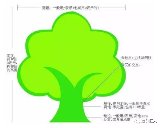 蓬径用什么符号，蓬径用什么符号表示（1201绿化及环保工程）