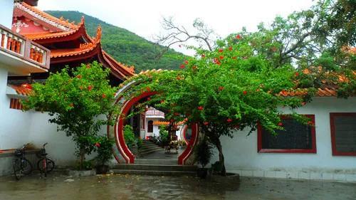 广东南山寺几时开放，广东南山寺