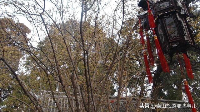 泰山周围有哪些景点，泰山附近有什么旅游景点（泰安：泰山下有一个免费景点）