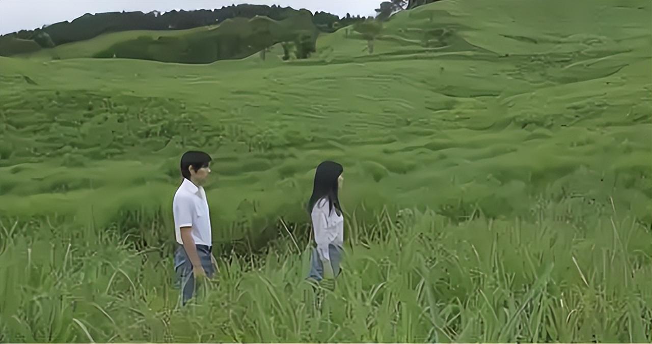 树上春树爱情语录，树上春树爱情语录大全（或许只有一个原因）