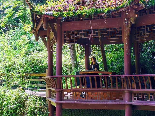 成都市青城山都江堰旅游景区，这个五一青城山-都江堰景区超火爆