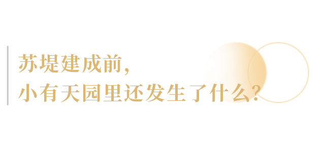 苏堤的由来， 这场山水间的文化体验之旅揭秘不为人知的千年城市历史