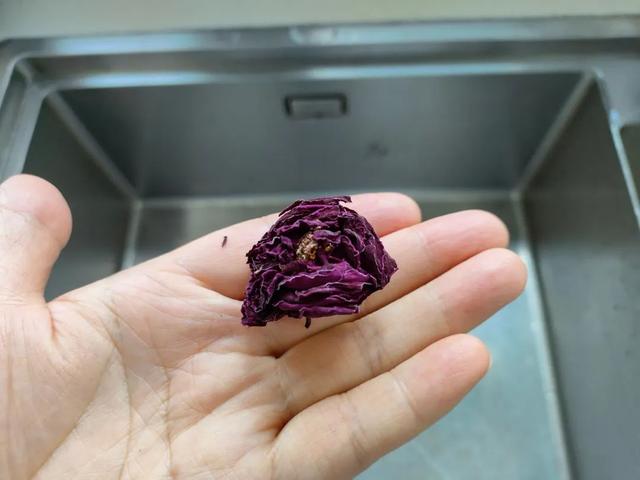 玫瑰花茶怎么泡，玫瑰花茶如何泡（玫瑰花茶怎么泡才正确）