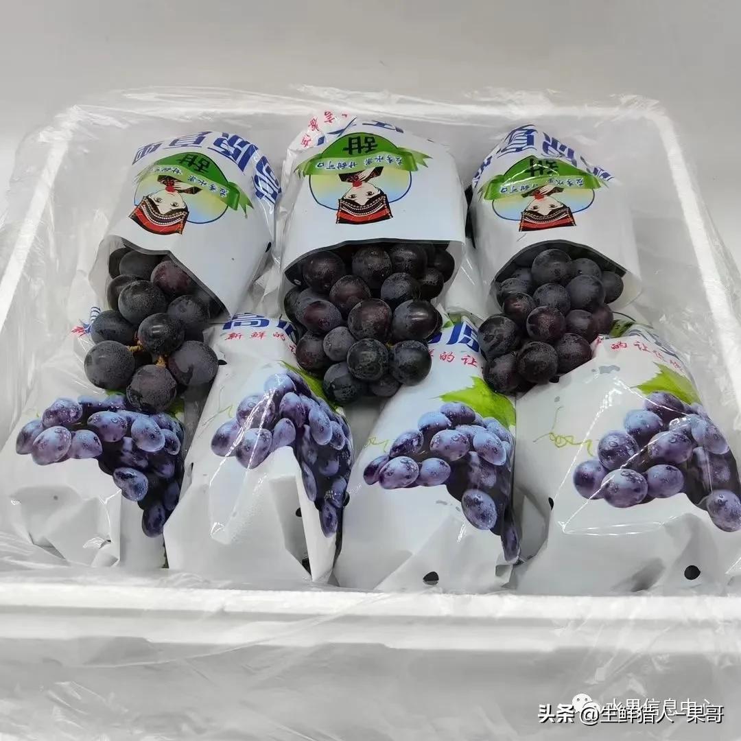 浆果是什么，浆果是什么软件（不同水果的不同包装<浆果篇>）