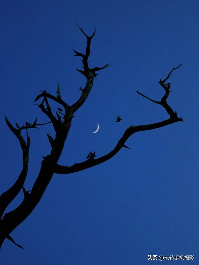 拍月亮用什么镜头，单反拍月亮需要什么镜头（手机如何拍中秋月亮）