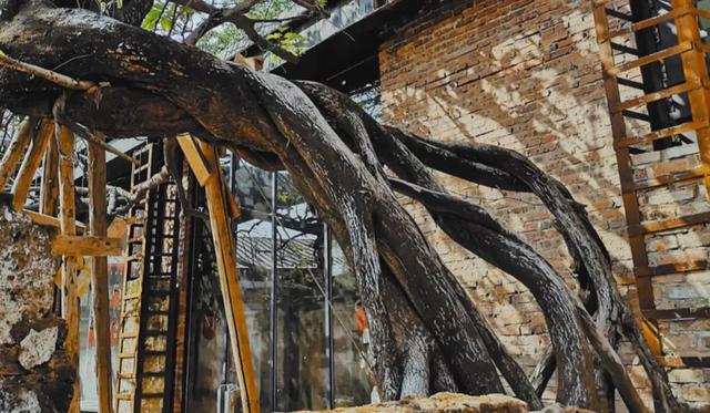 惠州澳头有什么好玩的，惠州澳头有什么好玩的吗（2021年最后一个慢时光的周末）