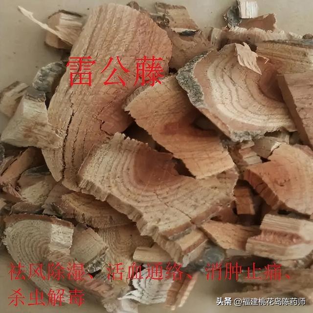 藤黄的功效与作用，藤黄果的功效与作用有哪些（植物类有毒中药<下>—②）