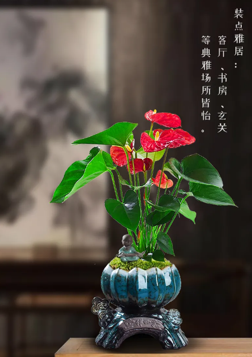 植物不喜欢什么光线，家里财位应该摆放什么（这些花卉就不喜欢阳光）