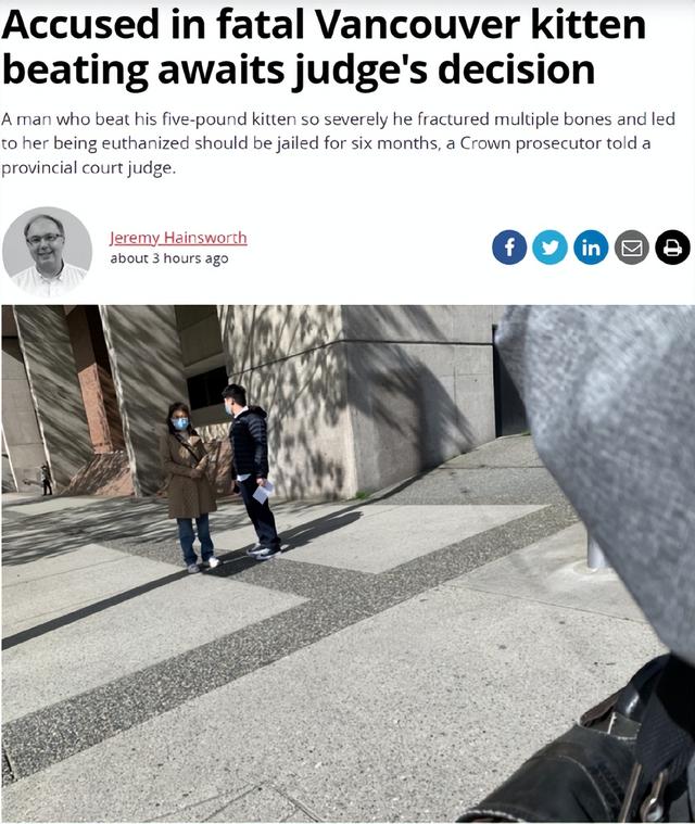 狗咬死猫，温哥华华人留学生被送上法庭（狗咬死猫要赔偿吗）