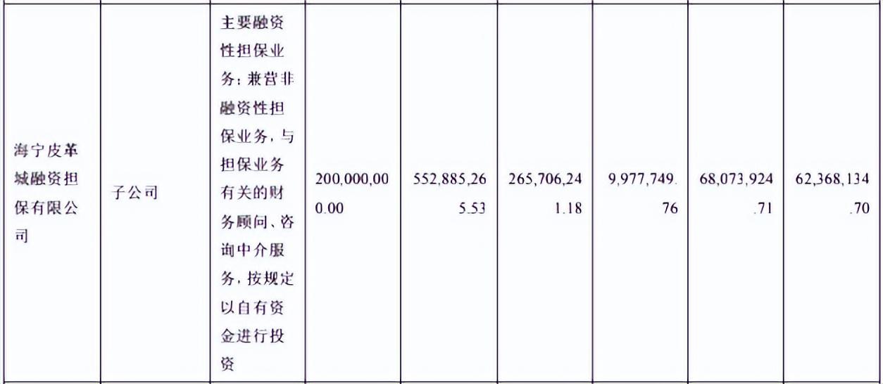 蒙努集团（海宁皮城十年浮沉）