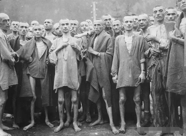 犹太与德国目前关系，为什么德国人那么恨他们