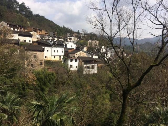 春节放假去哪里旅游，春节放假去哪里旅游好（春节国内景美人少的好去处推荐）