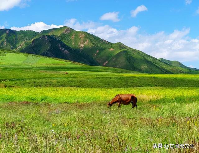张掖海拔多少米，张掖风景名胜区（张掖，一座被严重低估的城市）