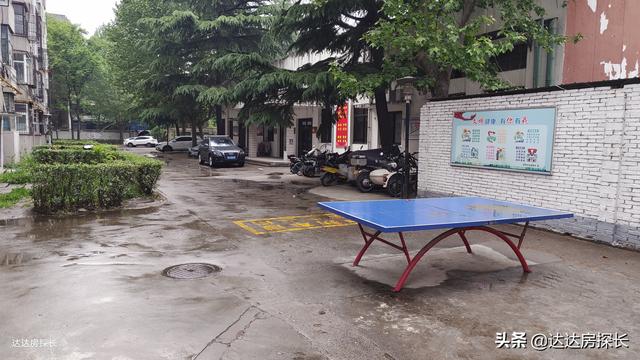 绿本是什么，全款买车怎么没有绿本（房产证红本、绿本、蓝本分别是什么）