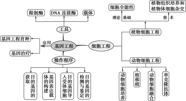完整的基因表达载体包括哪些，完整的基因表达载体包括哪些方面（高）