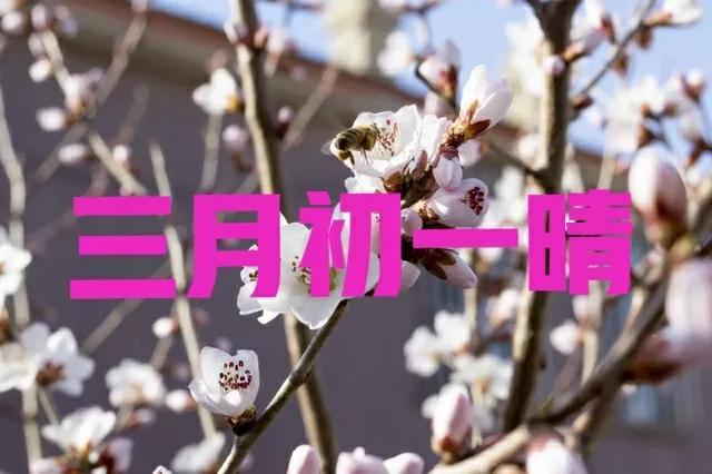 从农历来说,今天是正式进入到三月,也就是今天是农历三月初一,也是