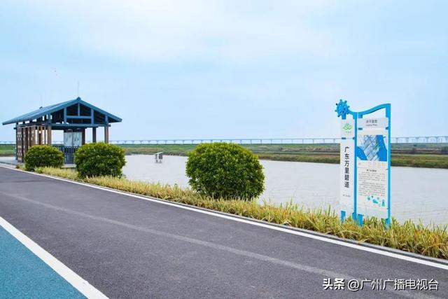 广州哪里可以看海，广州旅游看海的地方（广州这些“无敌海景”碧道藏不住了）