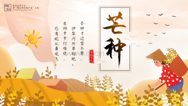 夏季分为哪三部分，夏季怎样分三部分（夏季节气PPT模板分享）