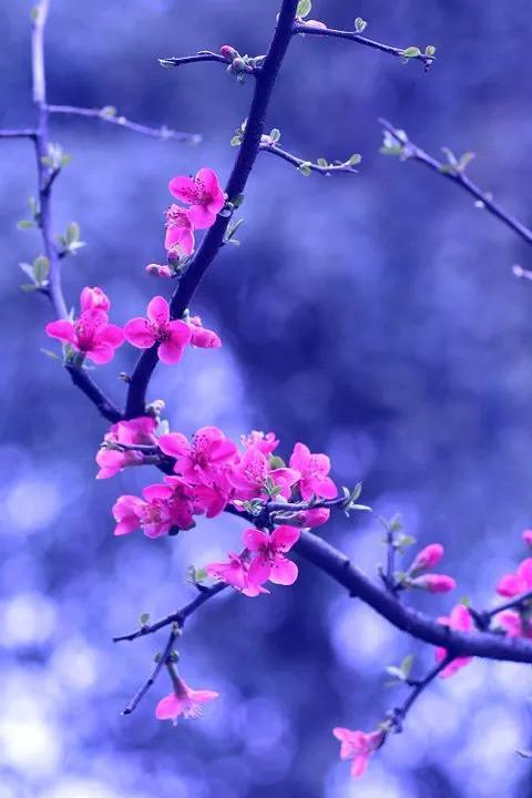 月老的红线，月老的红线牵在哪个手指上（月老的那根红线）