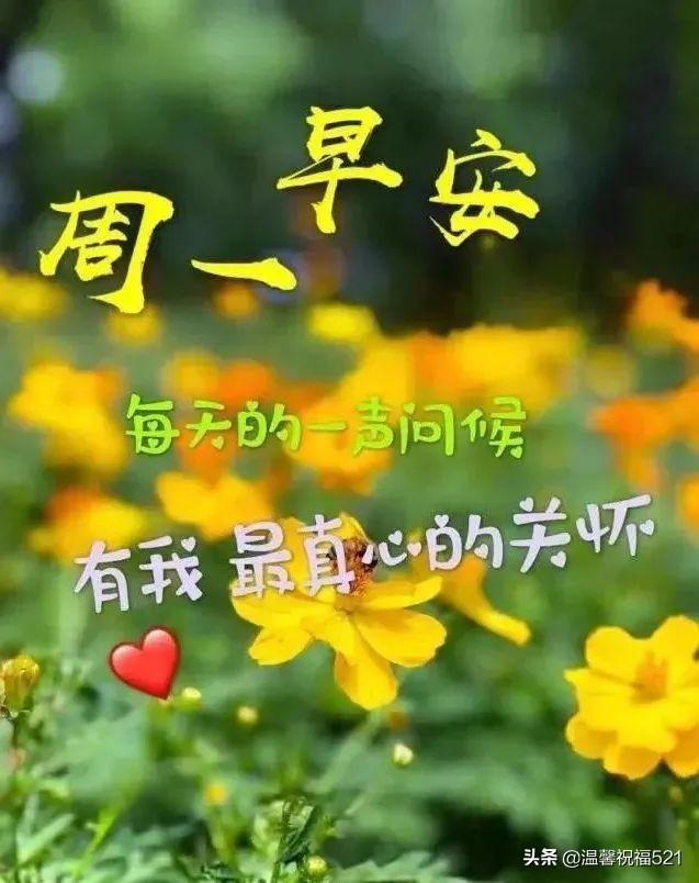 朋友圈早安的句子,早安暖心話短句(7月4日新的一週早安問候簡短語句)