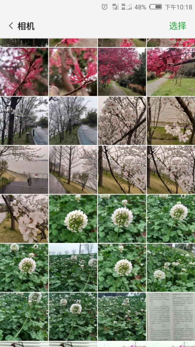 相册拼图怎么拼，oppo手机相册怎么拼图（如何用手机把多张图片合成一张）