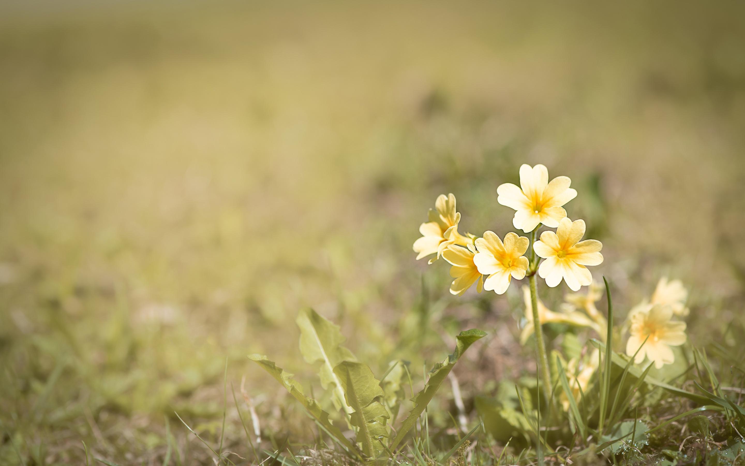 12月28日是什么星座的,12月28日星座运势另辟蹊径-星座-荣耀易学