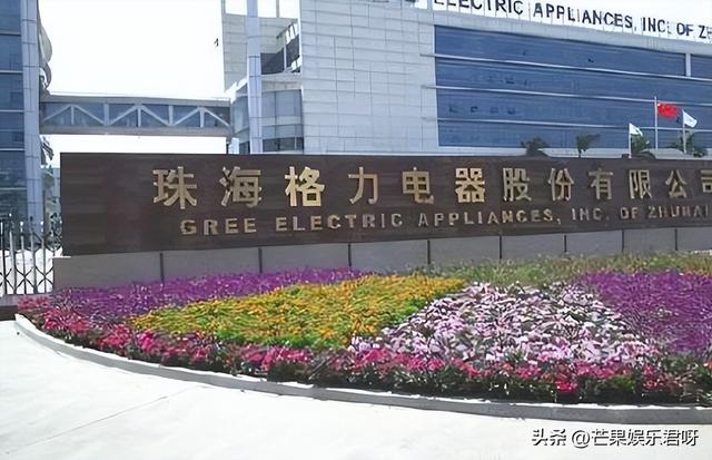董明珠个人简短经历，董明珠成长故事（董明珠：30岁丧夫）